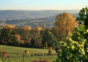 Besenwirtschaft Pesterwitz Besenwirtschaft Pesterwitz