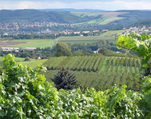 Besenwirtschaft mit Ausblick - Freital Pesterwitz Besenwirtschaft mit Ausblick - Freital Pesterwitz