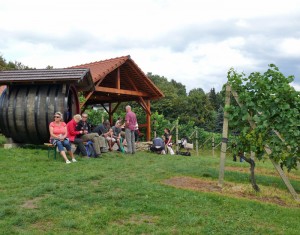 Weingut Pesterwitz bei Dresden Weingut Pesterwitz bei Dresden