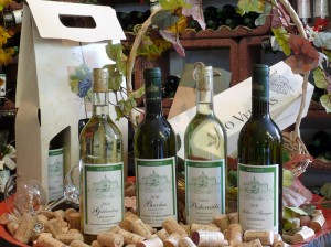 Weißwein - Goldriesling, Bacchus, Müller-Thurgau, Cuveé Weißwein - Goldriesling, Bacchus, Müller-Thurgau, Cuveé