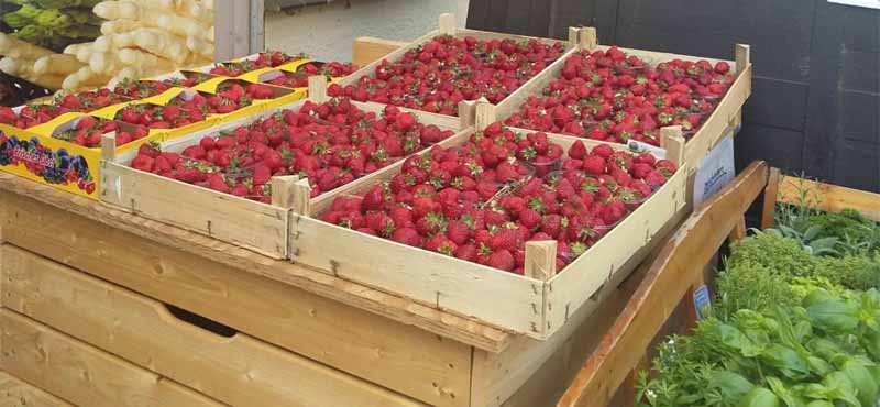 Pesterwitzer Erdbeeren auf Wochenmärkten Pesterwitzer Erdbeeren auf Wochenmärkten