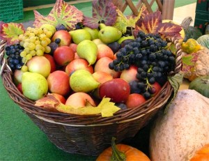 Pesterwitzer Obst, Foto: K. Hut reichhaltiges Obstangebot im Hofladen und auf Wochenmärkten